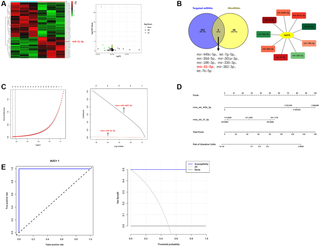 Antagomir of miR-31-5p modulates macrophage polarization via the