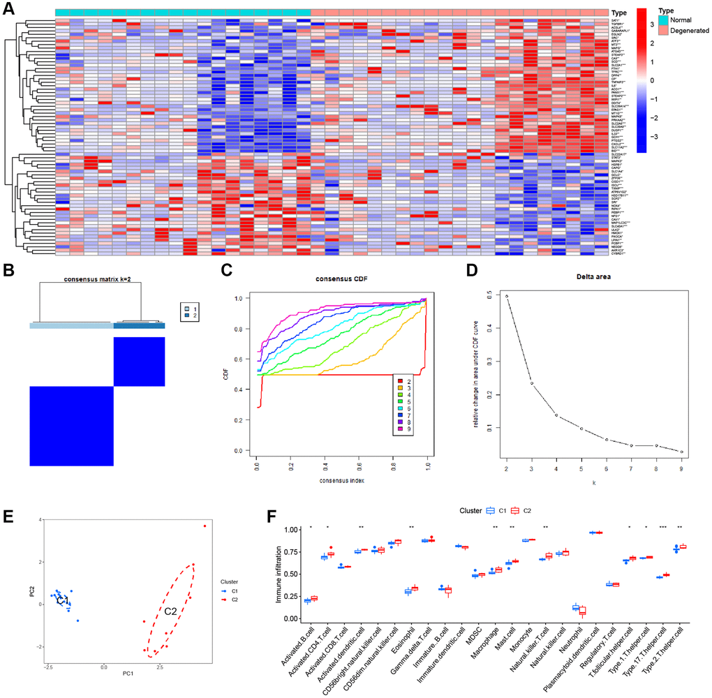 Consensus clustering analysis. (A) Heatmap of the DEFGs. (B) Cluster analysis. (C) Clustered consistent values and cumulative distribution functions (CDF) with different subgroup separations. (D) Relative changes in the area under the CDF curve at different subgroup spacing. (E) PCA of the two subtypes. (F) Differences in ssGSEA immune scores among different subtypes.