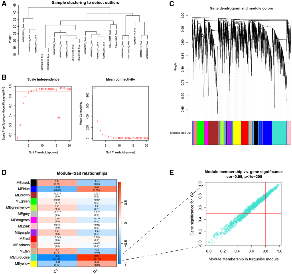 Identification of key genes for clustering. (A) Cluster dendrogram of 21 IVDD. (B) The scale independent value exceeded 0.9 with a low average connectivity when the soft threshold power was 6. (C) Cluster dendrogram of clustered genes to identify clinically meaningful modules associated with cluster occurrence. (D) Heatmap of the correlation between gene modules and clinical traits of IVDD. (E) The scatterplot of Gene Significance vs. Module Membership in the turquoise modules.