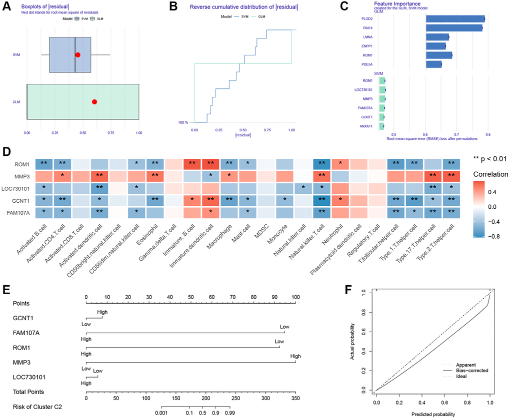 Construction of nomogram. (A) Boxplot of the residuals of the sample. (B) Cumulative residual distribution plot of sample. (C) The importance of variables in the GLM and SVM models. (D) Heatmap of correlation between ssGSEA algorithm results and hub genes. (E) Nomogram. (F) Calibration curve for the nomogram.