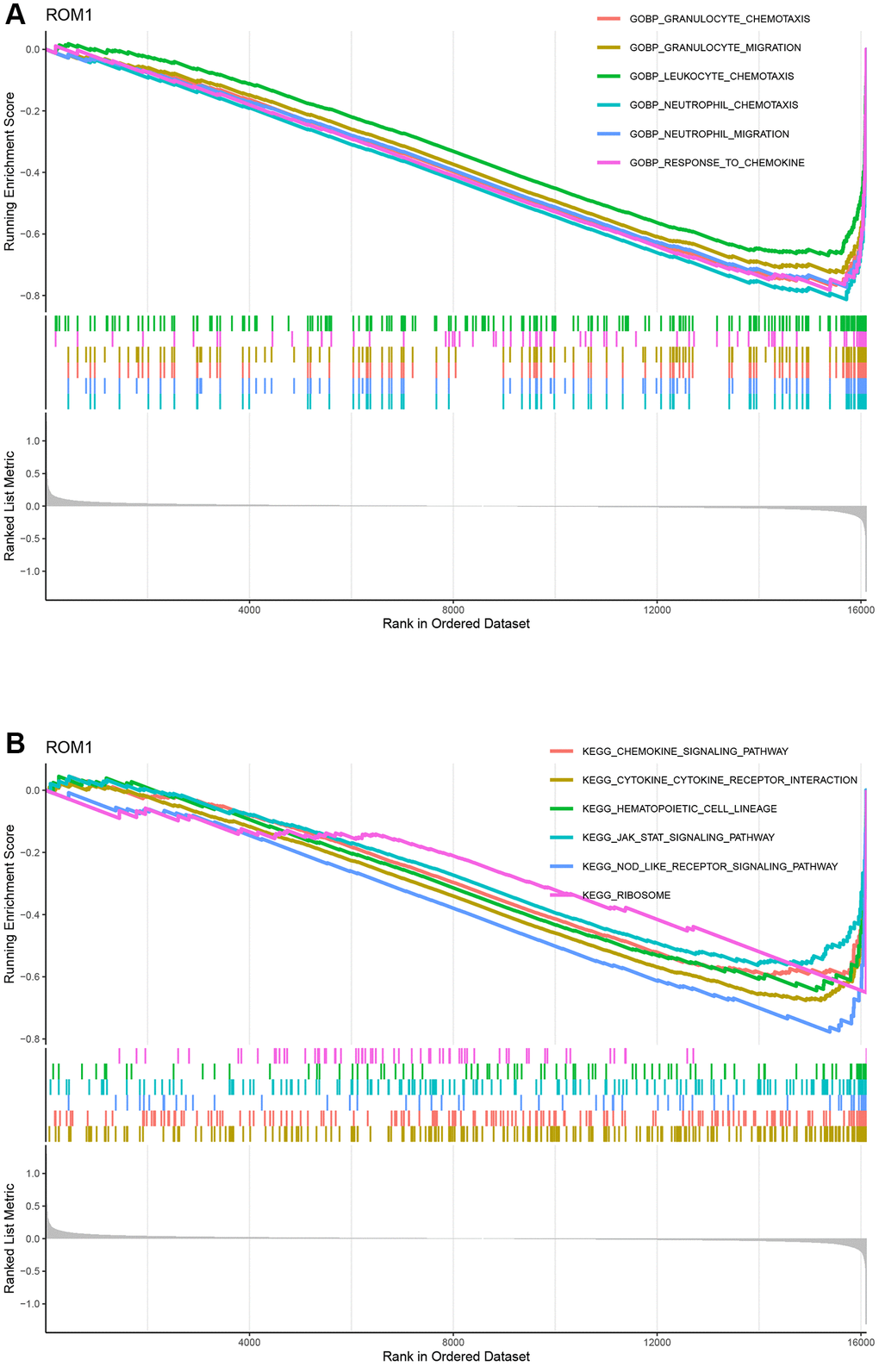 The GO entries and KEGG pathways. (A) GO terms. (B) KEGG pathways.