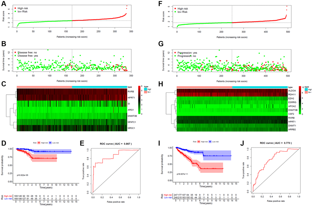 Risk score for target gene signature and outcome in PCa patients. (A) Risk score of a 7-gene signature for predicting DFS. (B) Disease status and duration of cases. (C) Heatmap of the 7 gene expression in PCa patients. (D) Kaplan-Meier curve for DFS in the low- and high-risk groups. (E) ROC curve for the DFS prediction of risk score model. (F) Risk score of a 11-gene signature for predicting PFS. (G) Progression status and duration of cases. (H) Heatmap of the 11 gene expression in PCa patients. (I) Kaplan-Meier curve for PFS in the low- and high-risk groups. (J) ROC curve for the PFS prediction of risk score model.