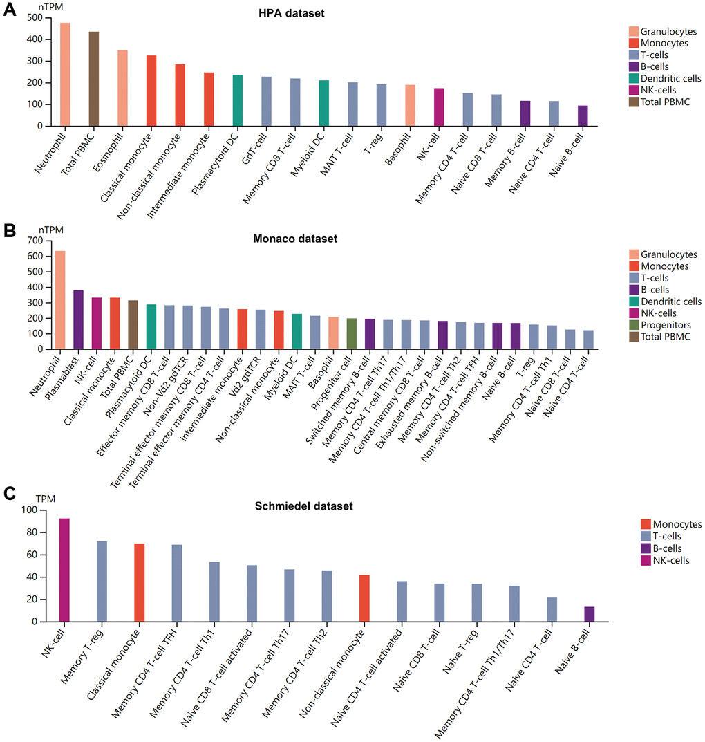 Pattern of BSG expression in human blood cells. (A) HPA dataset. (B) Monaco dataset. (C) Schmiedel dataset. X: blood cell types, Y: BSG expression value in transcripts per million (TPM).