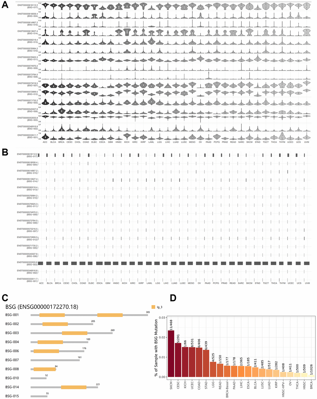 Isoform usage and structures of BSG across multiple cancer types. (A) Expression patterns of the BSG isoforms in different cancer types. X: cancer types, Y: isoforms of BSG. (B) The isoform usage of BSG in different cancer types. X: cancer types, Y: isoforms of BSG. (C) The structures of multiple BSG isoforms. Multiple isoforms and their protein domain structures are displayed in an interactive plot. (D) The mutant frequency of BSG in different cancer types.