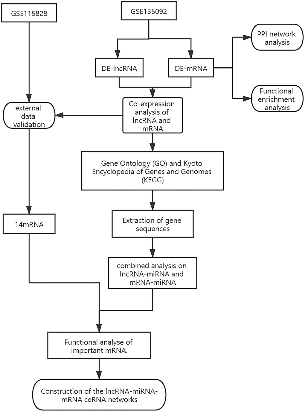 The diagram showing how the lncRNA-miRNA-mRNA network is built.