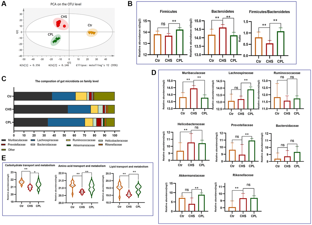 Effects of CPL on gut microbiota modulation in high-sucrose-induced obese mice. (A) Principal component analysis (PCA). (B) Relative abundance of the main phyla. (C) The composition of the gut microbiota at the family level. (D) Bar graph of the 8 most abundant families. (E) Gut microbiota functional prediction. n = 10 mice per group. The data are presented as the mean ± SEM. The data were log2-transformed. Statistical analysis was performed using Student’s t test. *p **p 