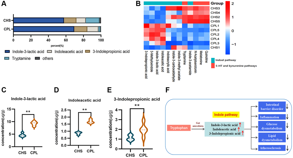 Effects of CPL on tryptophan metabolism in the colonic contents. (A) Composition of tryptophan metabolites. (B) Heatmap of tryptophan metabolites. (C) Concentration of indole-3-lactic acid. (D) Concentration of indoleacetic acid. (E) Concentration of 3-indolepropionic acid. (F) CPL affected indole pathway metabolism. n = 5 mice per group. The data are presented as the mean ± SEM. Statistical analysis was performed using Student’s t test. *p **p 