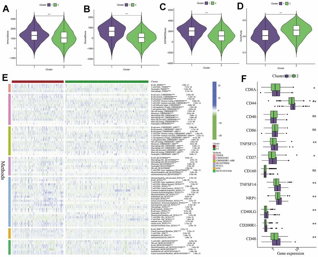 Analysis of immune microenvironment between different subtypes. (A–D) The difference between the two clusters in immune score, stromal score, ESTIMATE score and tumor purity, P-values are represented by *. (E) Seven algorithms were used to analyze immune cell or functional differences between CI and C2 subtypes. (F) Differences in the expression of immune checkpoint related genes between CI and C2 subtypes, P-values are indicated by *. *: p