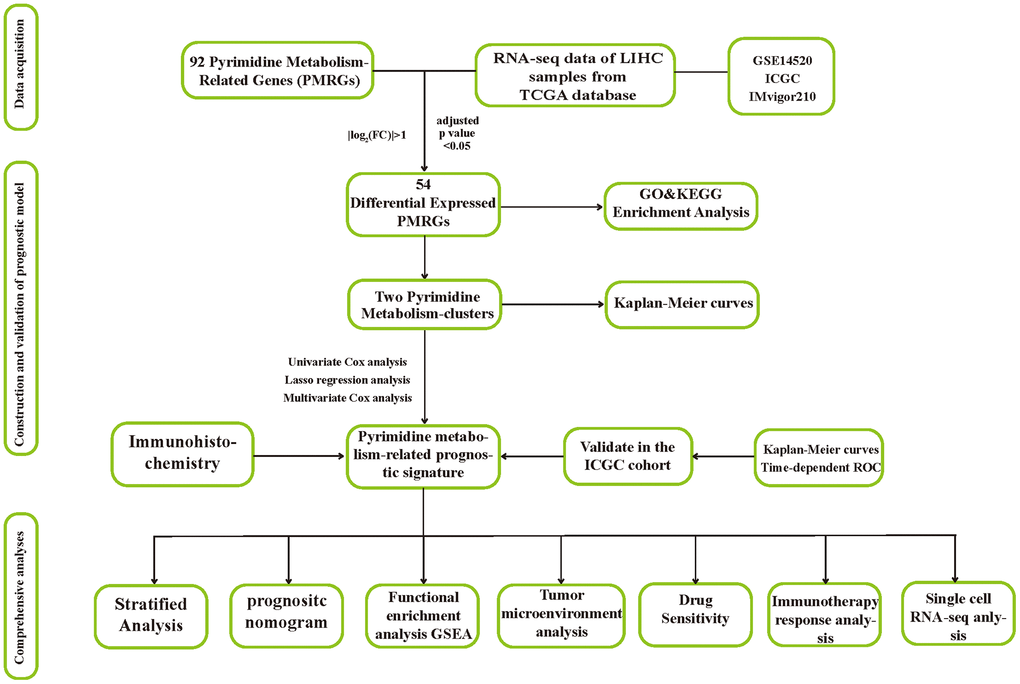 The flow chart of this research.