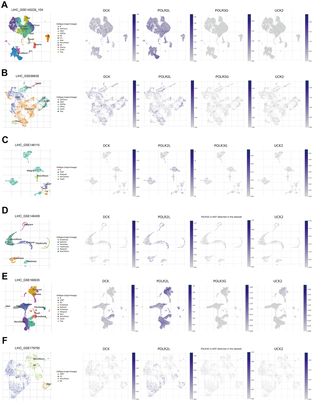 (A–F) Single-cell analysis of four model genes (DCK, POLR2L, POLR3G, UCK2) via TISCH based on GSE140228, GSE98638, GSE146115, GSE146409, GSE166635, GSE179795 datasets.