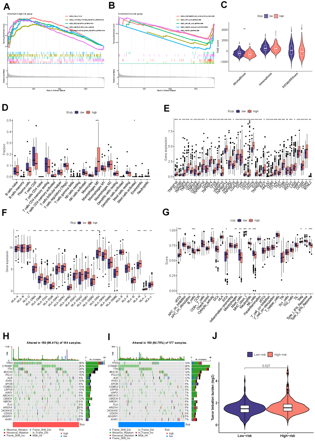 Detection of the immune profile between different groups. The GSEA results for the high-risk (A) and low-risk (B) groups. (C) Difference between two risk groups’ stromal, immune, and ESTIMATE scores. (D) Comparisons of the fractions of immunocyte infiltration between distinct groups. (E) Differential checkpoint gene expression between two groups. (F) The differential HLA gene expression between two groups. (G) The levels of immune function in the two at-risk categories. The mutational status of the leading 20 genes in the high-risk category (H). The low-risk cohort (I). (J) The TMB concentration in the various categories. (*P