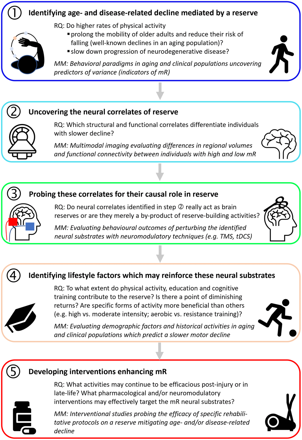 A step-by-step approach to uncovering a motor reserve. Each step is motivated by an outstanding research question (RQ), and possible materials and methods (MM) to search for answers are specified [images from stock art and flaticon (https://www.flaticon.com/free-icons/mri)].