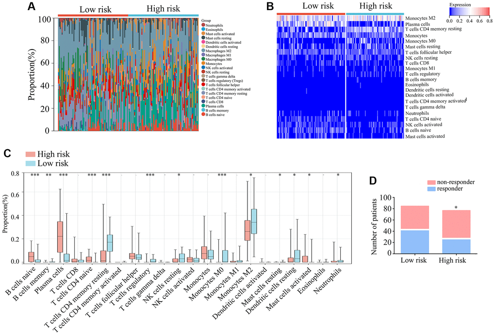 Immunological characteristics of TERTp-mutant gliomas in TCGA. (A, B) Expression matrices showing proportions and expression patterns of 22 tumor-infiltrating immune cell types in TCGA-glioma tissues from patients with TERTp mutations in the high- and low-risk groups. (C) Profiling of tumor-infiltrating immune cells in TERTp-mutations-type glioma tissues in the high- and low-risk groups in TCGA. (D) Predicted proportions of ICB responders and non-responders among glioma patients with TERTp mutations in the high-risk and low-risk groups.