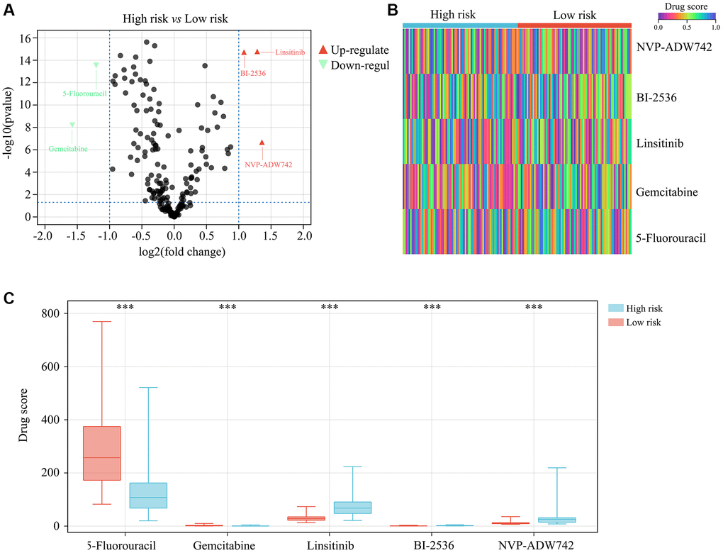 Drug sensitivity analysis for high-risk TERTp-mutant gliomas. (A–C) OncoPredict analysis of drug sensitivity of TERTp-mutant gliomas. Results suggest higher sensitivity to 5-fluorouracil and gemcitabine therapies for glioma patients in the high- vs. the low-risk group. ***P 