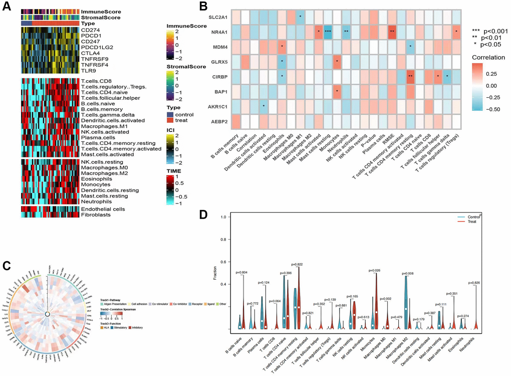 Analysis of immune infiltrations. (A) Heatmap showing the results of immune cell infiltration in the tumor microenvironment (TME) in AKI using multiple algorithms, including data from the TIMER and MCP-counter platforms. TME-related scores are displayed in the top bar. (B) Correlations between eight hub genes and 22 immune-related cells. (C) Correlation analysis between nine hub genes and 75 immune-associated genes. (D) Comparison of the proportions of 22 immune-related cells between control and treated groups.