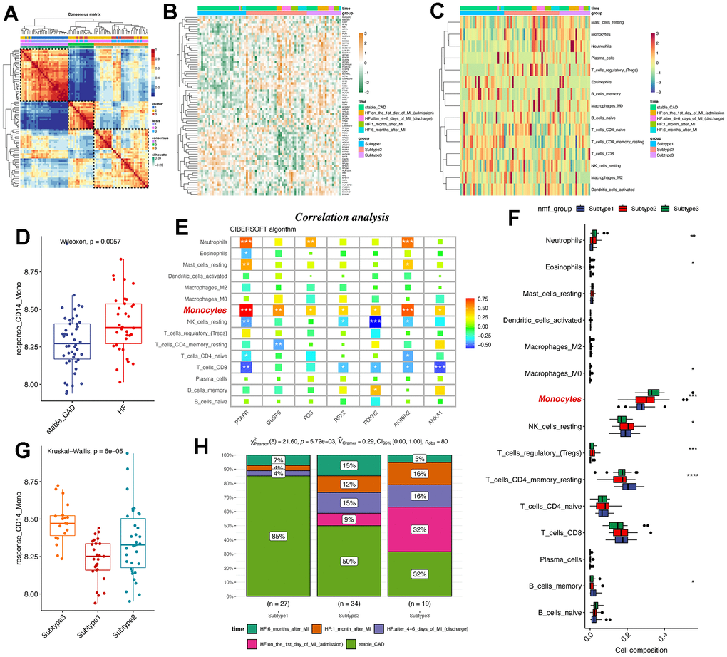 NMF subtype analyses uncovers that therapy-response monocyte signatures were capable of partitioning post-MI HF patients into three groups. (A) Consensus clustering for the GSE59867 data based on the hub genes, which contained PBMC samples from stable coronary diseases to heart failure. (B) Heatmap shows the differences among the three patient groups. (C) Heat map displays the infiltration levels of immune cells among the three patient groups. CIBERSOFT algorithm in IOBR packages was adopted. (D) Boxplot shows the signature score of therapy-response monocytes in bulk RNA-seq levels between control and heart failure groups. (E) Correlation analysis of the hub genes and monocytes in bulk RNA-seq levels. The monocytes were highlighted. (F) Infiltration levels of deconvoluted immune cells in the NMF groups. (G) Box plot reveals the signature score of therapy-response monocytes among the three patient groups. (H) Distribution of different clinical information in the NMF groups. NMF: Nonnegative Matrix Factorization.