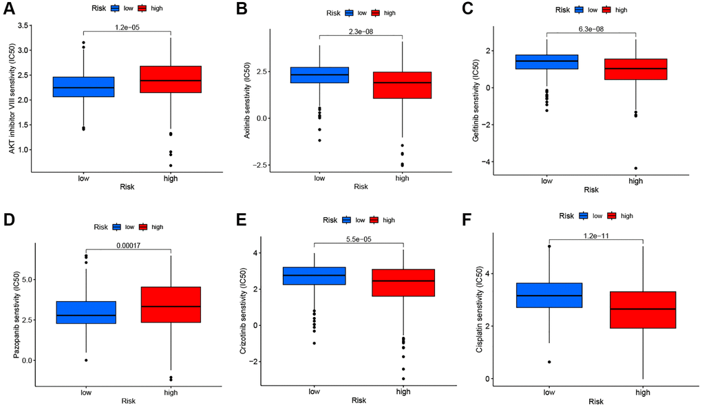 Drug sensitivity analysis. The comparisons in IC50 of AKT inhibitor (A), Axitinib (B), Gefitinib (C), Pazopanib (D), Crizotinib (E), and Cisplatin (F) between the two risk groups.