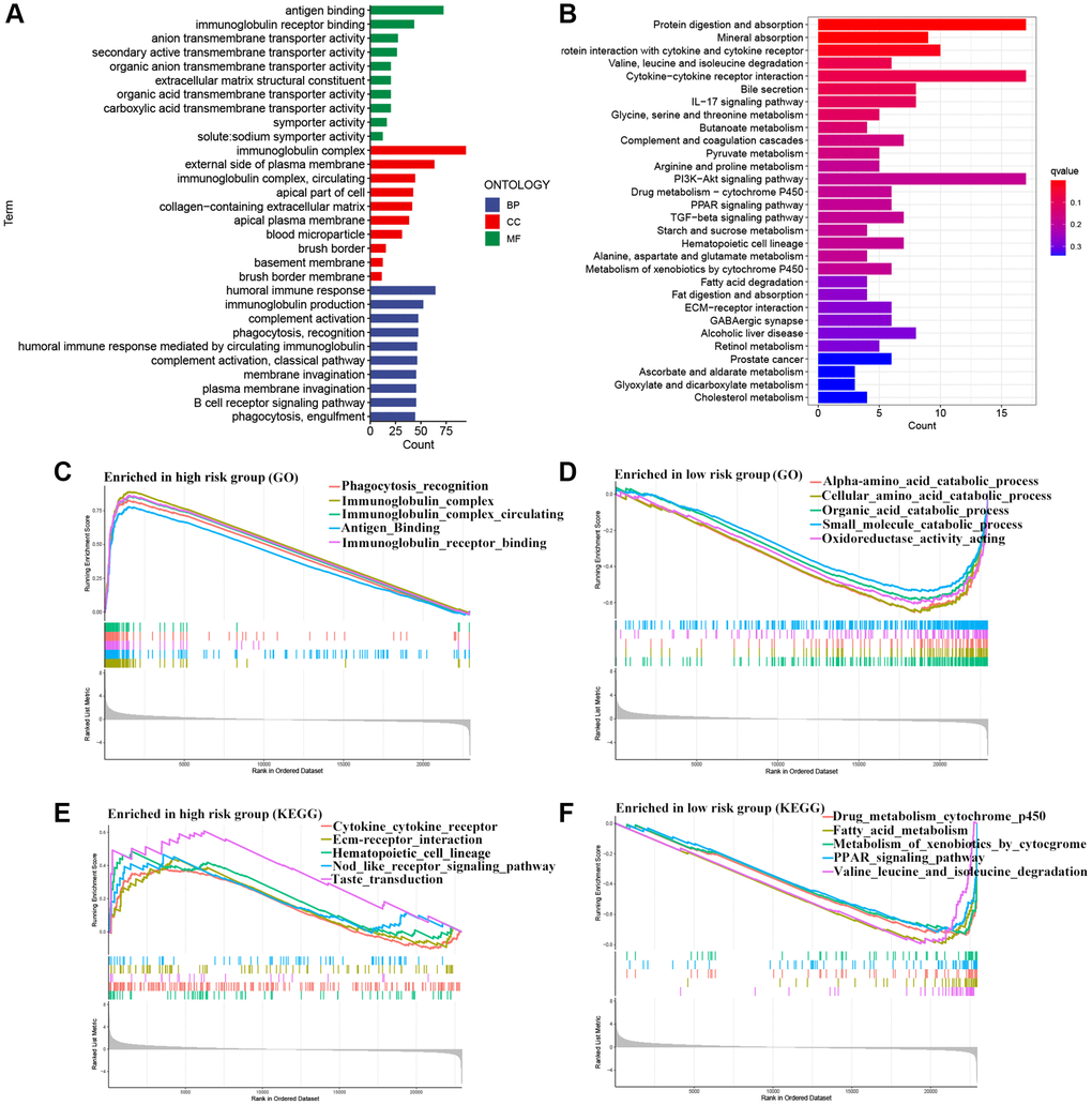 Functional enrichment analysis. (A) GO analysis. (B) KEGG analysis. (C–F) Gene set enrichment analysis.