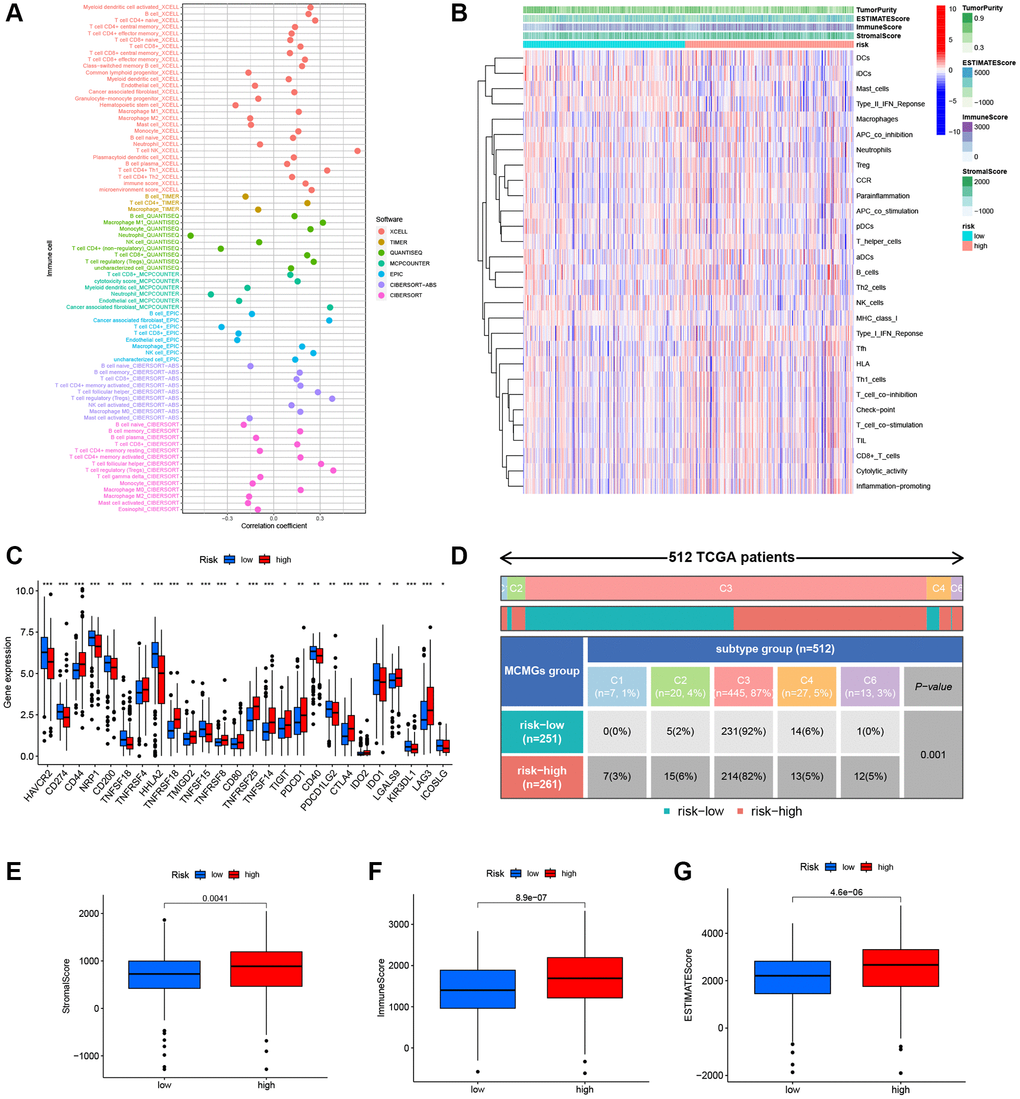 Characteristics of the immune microenvironment of the tumor. (A) Immune cell bubble of different risk cohorts. (B) Heatmap showed the relationship between MMGrisk and immune-related functions. (C) The expression levels of the immune checkpoint genes between the two risk groups. (D) Analysis of immune subtypes in the two risk cohorts. (E–G) Differences expression levels of stromal, immune, and ESTIMATE scores between the two risk cohorts.