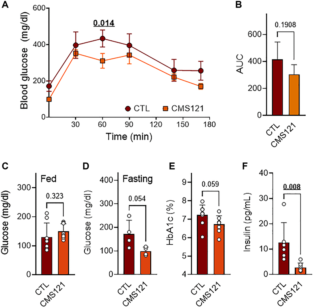 Glucose status in mice treated with CMS121 for 6 months. The glucose tolerance test (GTT, n = 4–5) was performed at the 6th month of treatment (A). The area under the curve (AUC) is presented in (B). Glucose was evaluated by caudal vein puncture after the 5th month of treatment in fed mice (C) (n = 8). At the end of the study, blood was collected for the measurement of fasting glucose (D) (n = 4), glycated hemoglobin (E) (HbA1c; n = 8–9), and insulin levels (F) (n = 6–7). Data are presented as mean ± SD, except for GTT (mean ± SEM). Bold underlined p-values indicate statistical differences.