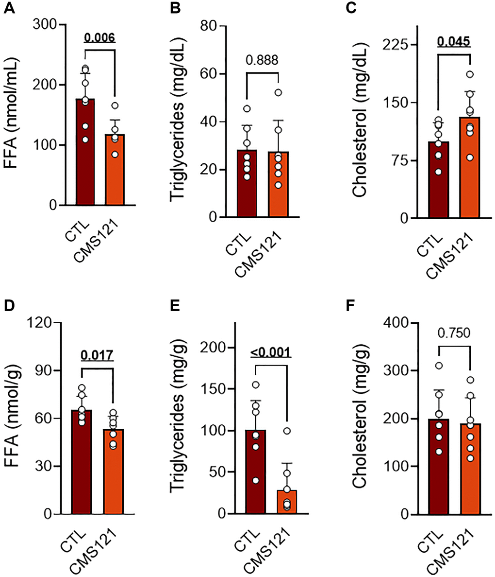 Blood and liver lipids of mice fed control diet or a diet containing CMS121 for 6 months. Plasma (A–C) and liver (D–F) were evaluated for free fatty acids (FFA (A, D)), triglycerides (B, E), and cholesterol (C, F) at the end of the experiment. Data are presented as mean ± SD (n = 7–8). Bold underlined p-values indicate statistical differences.