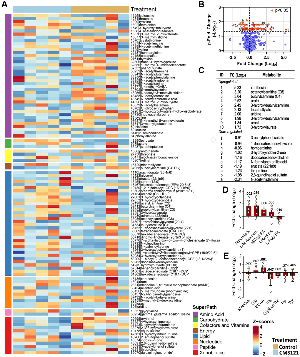 Effect of the CMS121 diet on plasma metabolites. Differentially expressed metabolites are presented as (A) heat map; (B) volcano plot; (C) table presenting the top ten upregulated or downregulated metabolites, and metabolites related to lipids (D) or amino acids (E). Only sub-pathways with 3 or more differentially expressed metabolites are presented in (D and E), and represent the average ± SD. Abbreviations are: BCAA – branched chain amino acids; Butyrate-X – indicates 4 carbon metabolites related to β-hydroxybutyrate; S/M Acylcarn – small or medium acylcarnitine metabolites; L/Acyl FA – long saturated/monoinsaturated free or acyl fatty acids; L-Poly FA – long polyunsaturated free or acyl-fatty acids. *Indicates compounds that have not been confirmed based on a standard, but mass spectral data were appropriate to reveal their identity.