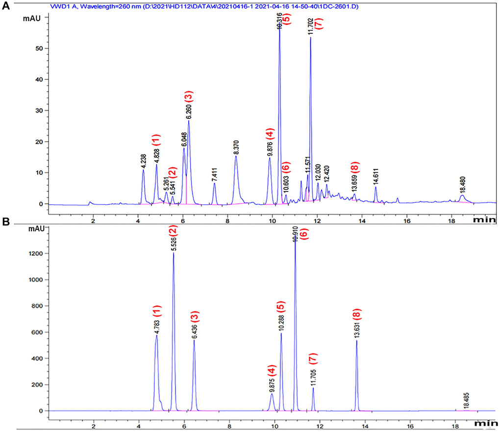 Cordyceps sinensis extract protects against acute kidney injury by