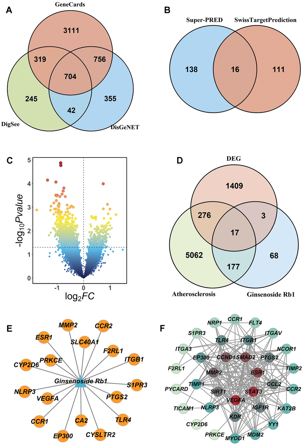 Screen potential targets of ginsenoside Rb1 in the treatment of atherosclerosis. (A) The atherosclerosis-related targets were shown by Venn diagram. (B) The putative targets of ginsenoside Rb1 were shown by Venn diagram. (C) The differentially expressed genes in atherosclerosis were shown by Volcano plot. (D) The comment targets of ginsenoside Rb1 and atherosclerosis were shown by Venn diagram. (E) Comment targets of ginsenoside Rb1 and atherosclerosis. (F) PPI network of ginsenoside Rb1 was used to show the hub genes.