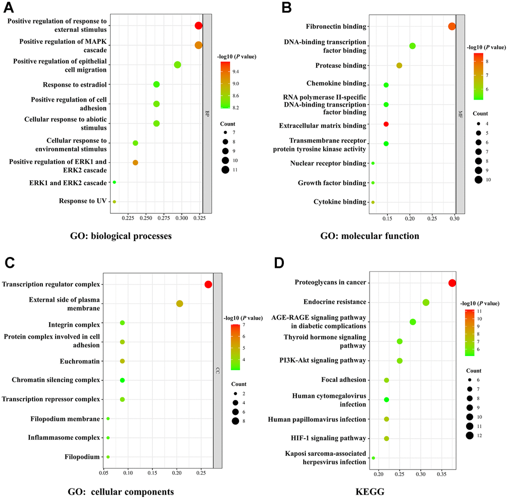 GO and KEGG enrichment analysis. (A–C) The bubble diagram of GO analysis for biological processes (A), molecular function (B), and cellular components (C). (D) The bubble diagram of KEGG pathway analysis. The node size indicates the gene number. The node color represents the P-value.