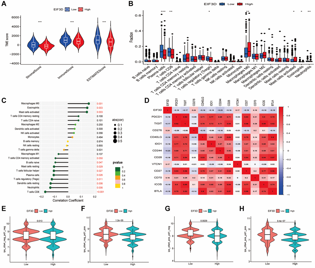 Correlation between the EIF3D and the tumor microenvironment and immune checkpoint genes. (A) Correlation analysis of ImmuneScore, StromalScore, and ESTIMATEScore with EIF3D. (B) Box plots illustrating variations in immune cell infiltration proportions between high-EIF3D and low-EIF3D patient groups. (C) Lollipop graph depicting the correlation between immune infiltration and EIF3D. (D) Correlation analysis between EIF3D and immune checkpoint genes. (E–H) Evaluation of immunotherapy outcomes involving anti-CTLA4 and anti-PD1 inhibitors in EIF3D high and low expression groups. Error bars denote mean ± SEM. Significance levels: *P-value **P-value ***P-value 