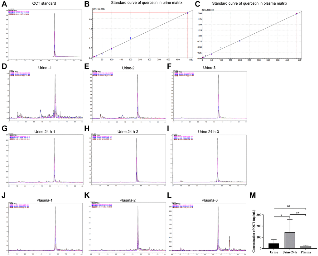 HPLC detected the concentration of QCT. (A) The HPLC chromatogram of QCT standard. (B) The standard curve of QCT in urine matrix. (C) The standard curve of QCT in plasma matrix. (D) The HPLC chromatogram of QCT in Urine-1 group. (E) The HPLC chromatogram of QCT in Urine-2 group. (F) The HPLC chromatogram of QCT in Urine-3 group. (G) The HPLC chromatogram of QCT in Urine 24 h-1 group. (H) The HPLC chromatogram of QCT in Urine 24 h-2 group. (I) The HPLC chromatogram of QCT in 24 h-3 group. (J) The HPLC chromatogram of QCT in plasma-1 group. (K) The HPLC chromatogram of QCT in plasma-2 group. (L) The HPLC chromatogram of QCT in plasma-3 group. (M) QCT concentration statistics of each group. *P **P 