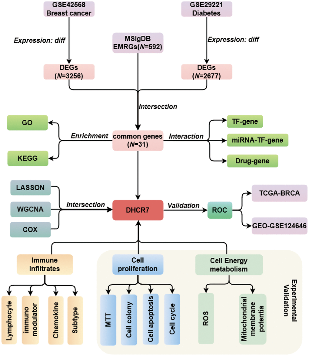 Flow diagram of overall study.