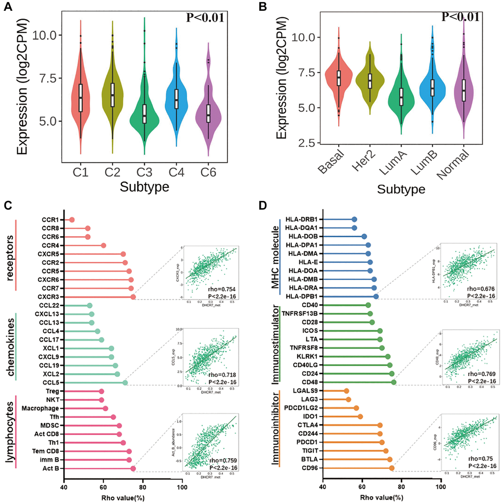 The correlation between DHCR7 expression and BC immune characteristics. (A) DHCR7 expression correlations with 5 immune subtypes in BC. (B) DHCR7 expression was related to the molecular subtypes of BC. (C) DHCR7 expression correlations with lymphocytes chemokines and receptors. (D) Correlations between DHCR7 expression and 3 kinds of immunomodulators.