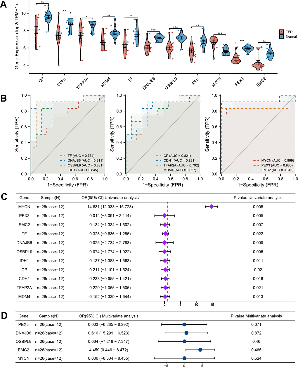 Comprehensive evaluation of F-DEGs. (A) Gene expression analysis of F-DEGs between TED and normal groups; (B) Diagnostic value analysis of F-DEGs; (C) Univariate analysis of F-DEGs; (D) Multivariate analysis of F-DEGs. *P P P 