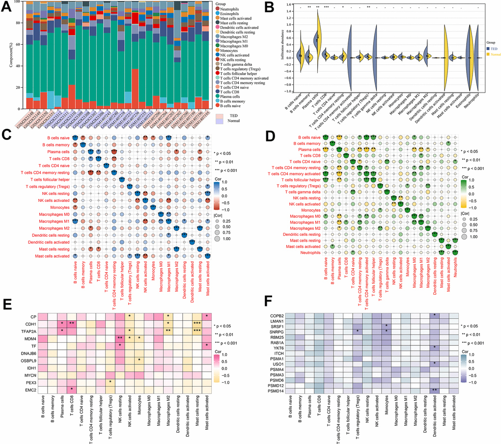 Immune infiltration analysis. (A) Accumulative immune cell concentrations in the TED and normal groups; (B) Analysis of different immune cell infiltration between TED and normal groups; (C) Correlation analysis of immune cell infiltration in the TED group; (D) Correlation analysis of immune cell infiltration in the normal group; (E) Correlation analysis between F-DEGs and immune cells; (F) Correlation analysis between 15 hub genes and immune cells. *P P P 