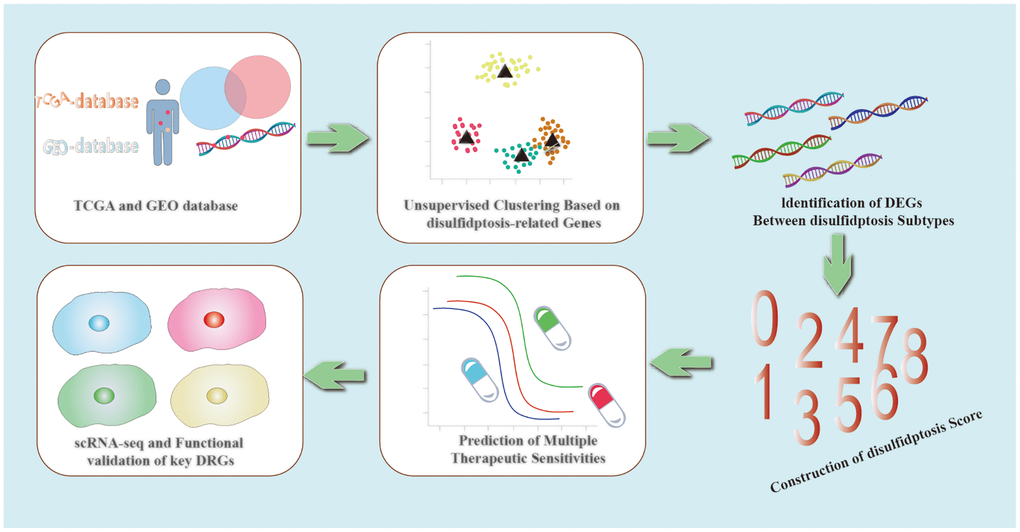 Graphical Abstract.