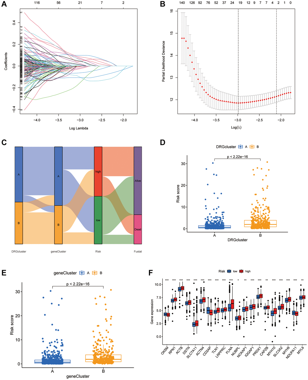 Establishment of the DRGs risk score and its interaction with tumor clinicopathological characteristics. (A) Cross-validation was performed for tuning parameter selection in the LASSO Cox regression model. (B) LASSO coefficient profiles of the DRGs. (C) Sankey diagram showing the changes of DRG clusters, survival status, gene cluster, and disulfidptosis score. (D) Differences in disulfidptosis score between 2 DRG clusters. P E) Differences in disulfidptosis score among 2 gene clusters. The Kruskal-Wallis test was used to compare the statistical difference between 2 gene clusters. (F) The difference of DRG expression in low-risk and high-risk group. *P **P ***P 