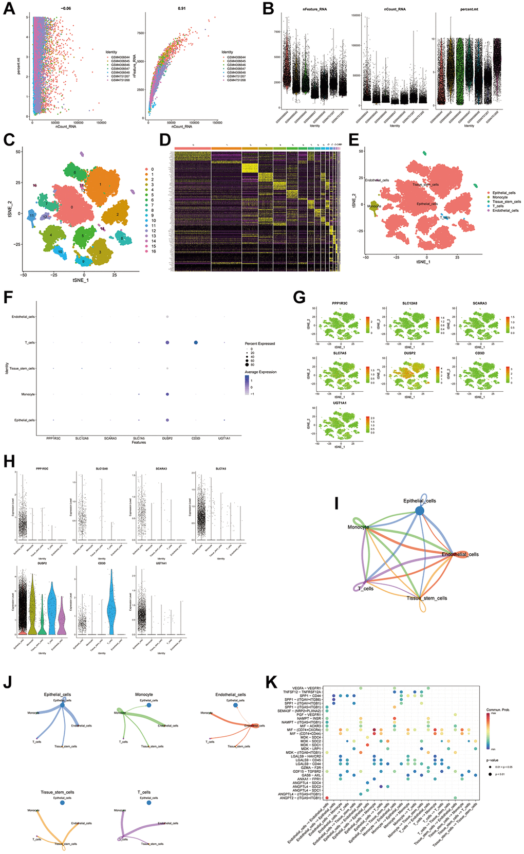 scRNA seq analysis. (A, B) Performing gene filtering, normalization, principal component analysis of scRNA seq data. (C–E) Annotation of all cell types in GSE135337 and the percentage of each cell type. (F–H) Expression of the genes in each cell type. (I–K) Cell to cell communications between each cell type.