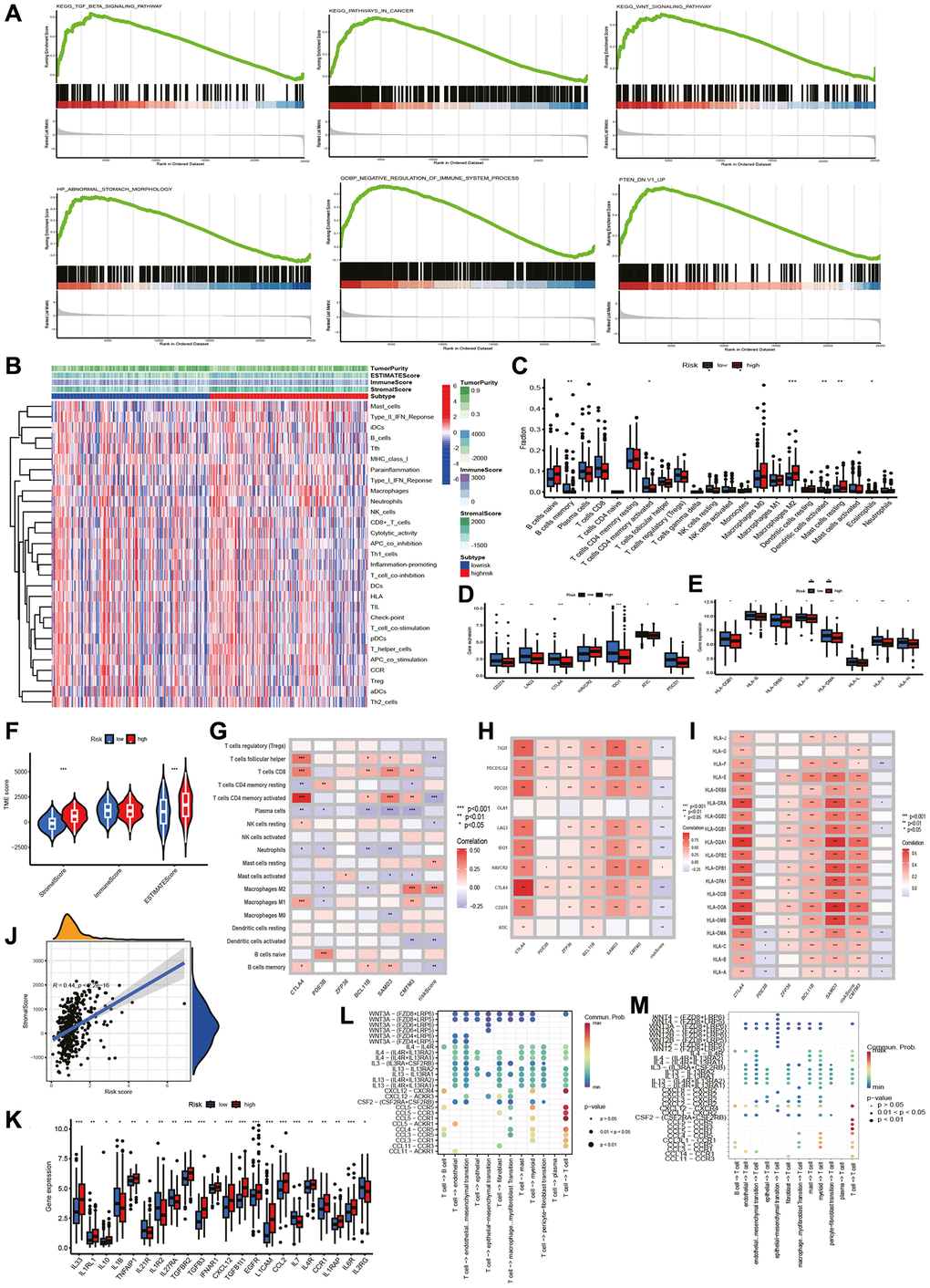 GSEA and TME analysis. GSEA and TME analysis. (A) Gene set enrichment analysis. (B) Heatmap shows risk and immune-related functions relationship. Differential expression of (C) 22 immune-associated cells, (D) immune checkpoint-associated genes, (E) HLA-associated genes, (F) stromal, immune and ESTIMATE scores, and (K) cytokine-related genes in two groups. Correlation of riskscore with (G) immune cells, (H) checkpoint-related genes, (I) HLA-related genes, (J) stromal score. (L) T cells initiate cytokine signal exchange between cells. (M) T cells receive cytokine signals to terminate intercellular signal communication.