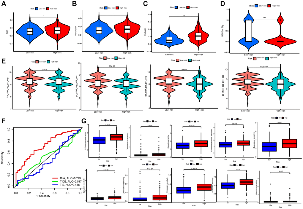 Immunological evaluation and drug sensitivity analysis. (A–D) TIDE, dysfunction, exclusion and MSI Expr Sig scores compared between two groups. (E) TCIA for predicting sensitivity to immunotherapy. (F) ROC curves comparing risk, TIDE, and TIS at OS. (G) Correlation between riskscore and chemotherapeutic sensitivity.