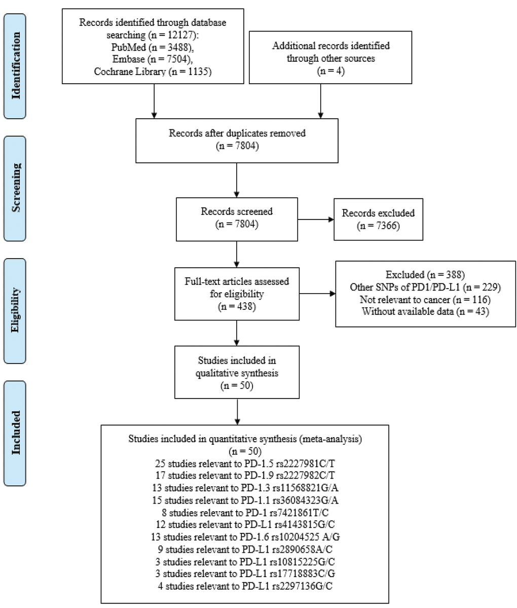 Flow chart of search strategy and study selection.