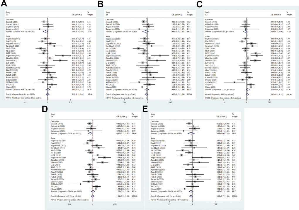 Forest plot for the association between PD-1.5 gene polymorphism and cancer risk under all the five models. For each publication, the estimation of OR and its 95% CI was plotted with a box and a horizontal line. The diamonds represented the pooled ORs and 95% CIs. (A) Allele model; (B) homozygote model; (C) heterozygote model; (D) dominant model; (E) recessive model.