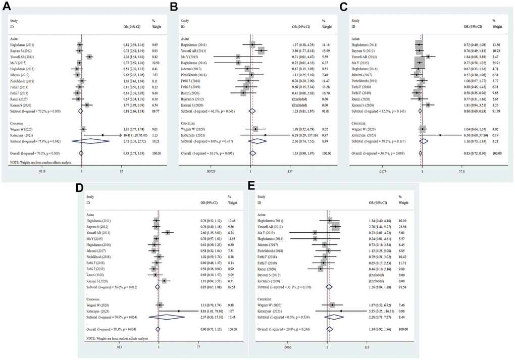 Forest plot for the association between PD-1.3 gene polymorphism and cancer risk under all the five models. For each publication, the estimation of OR and its 95% CI was plotted with a box and a horizontal line. The diamonds represented the pooled ORs and 95% CIs. (A) Allele model; (B) homozygote model; (C) heterozygote model; (D) dominant model; (E) recessive model.