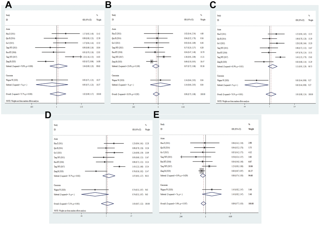 Forest plot for the association between rs7421861 gene polymorphism and cancer susceptibility under all the five models. For each publication, the estimation of OR and its 95% CI was plotted with a box and a horizontal line. The diamonds represented the pooled ORs and 95% CIs. (A) Allele model; (B) homozygote model; (C) heterozygote model; (D) dominant model; (E) recessive model.