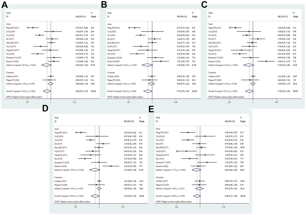 Forest plot for the association between PD-L1 rs4143815 gene polymorphism and cancer susceptibility under all the five models. For each publication, the estimation of OR and its 95% CI was plotted with a box and a horizontal line. The diamonds represented the pooled ORs and 95% CIs. (A) Allele model; (B) homozygote model; (C) heterozygote model; (D) dominant model; (E) recessive model.