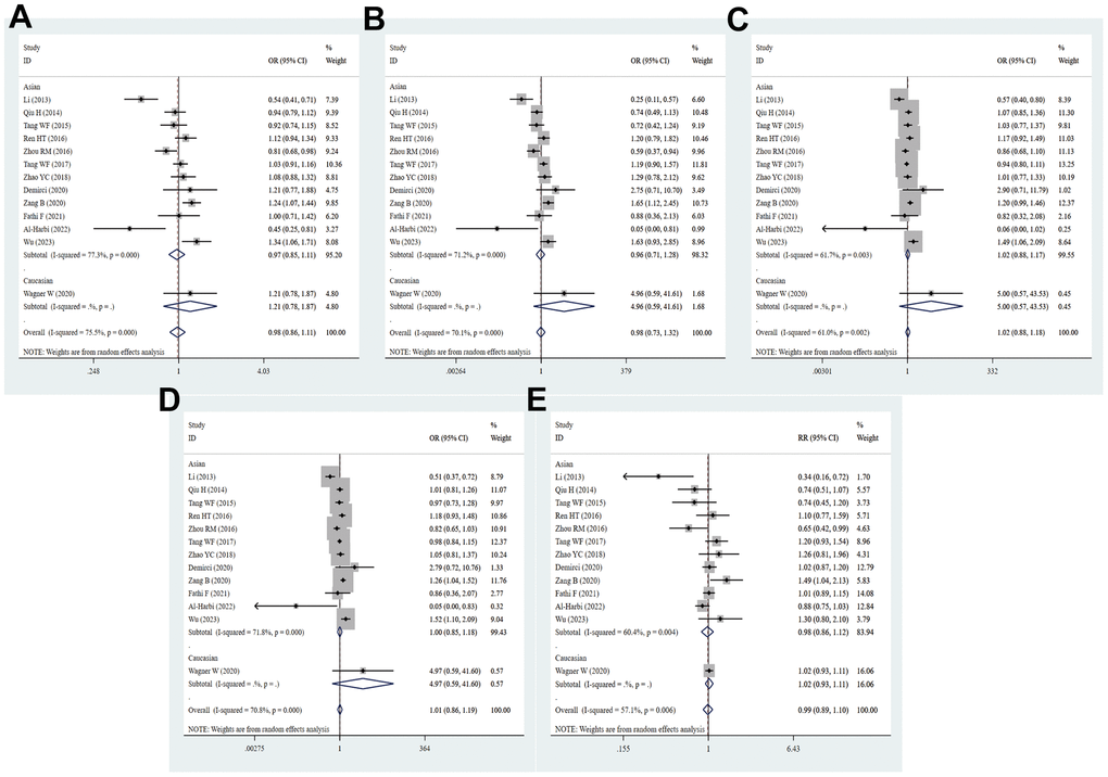 Forest plot for the association between PD-1.6 gene polymorphism and cancer susceptibility under all the five models. For each publication, the estimation of OR and its 95% CI was plotted with a box and a horizontal line. The diamonds represented the pooled ORs and 95% CIs. (A) Allele model; (B) homozygote model; (C) heterozygote model; (D) dominant model; (E) recessive model.