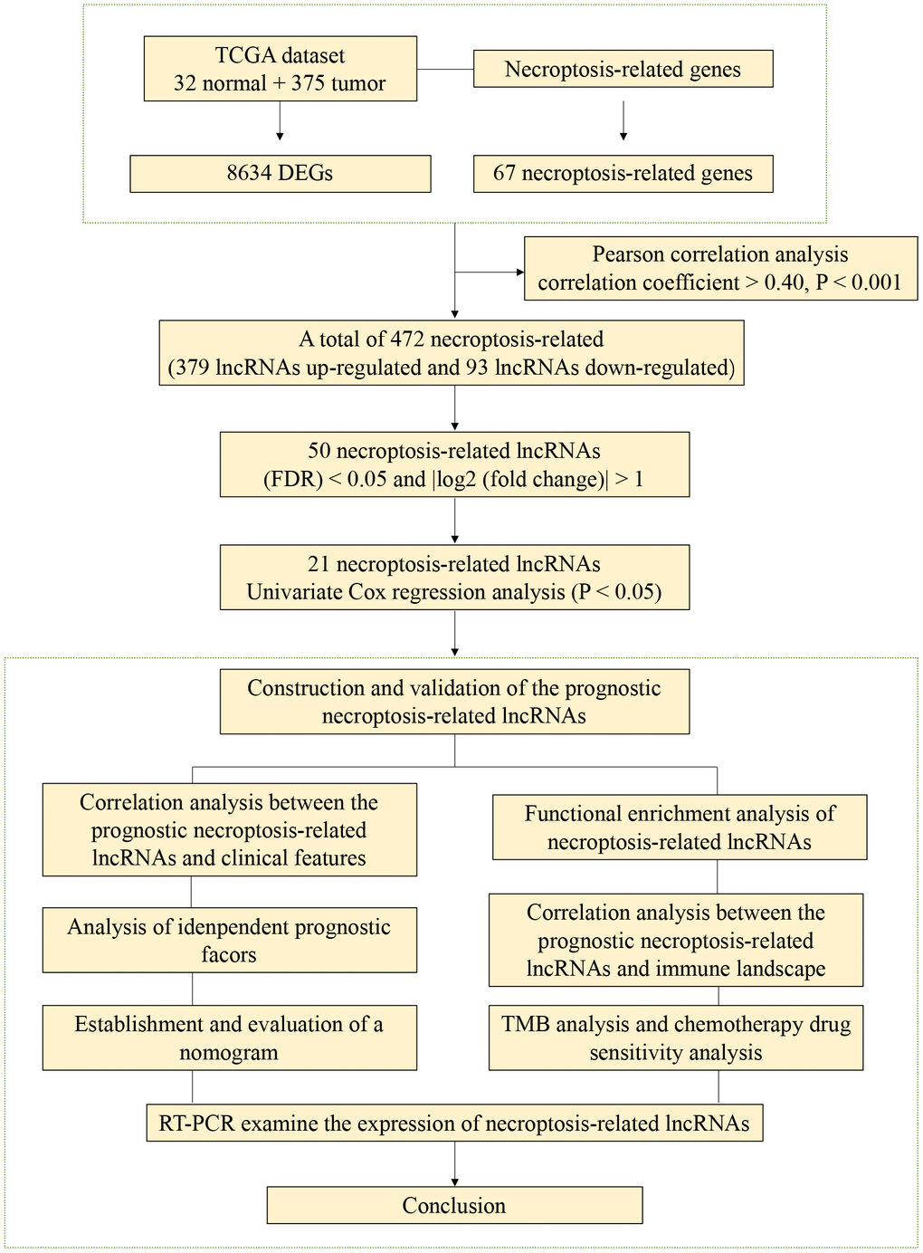 The flowchart of this study.