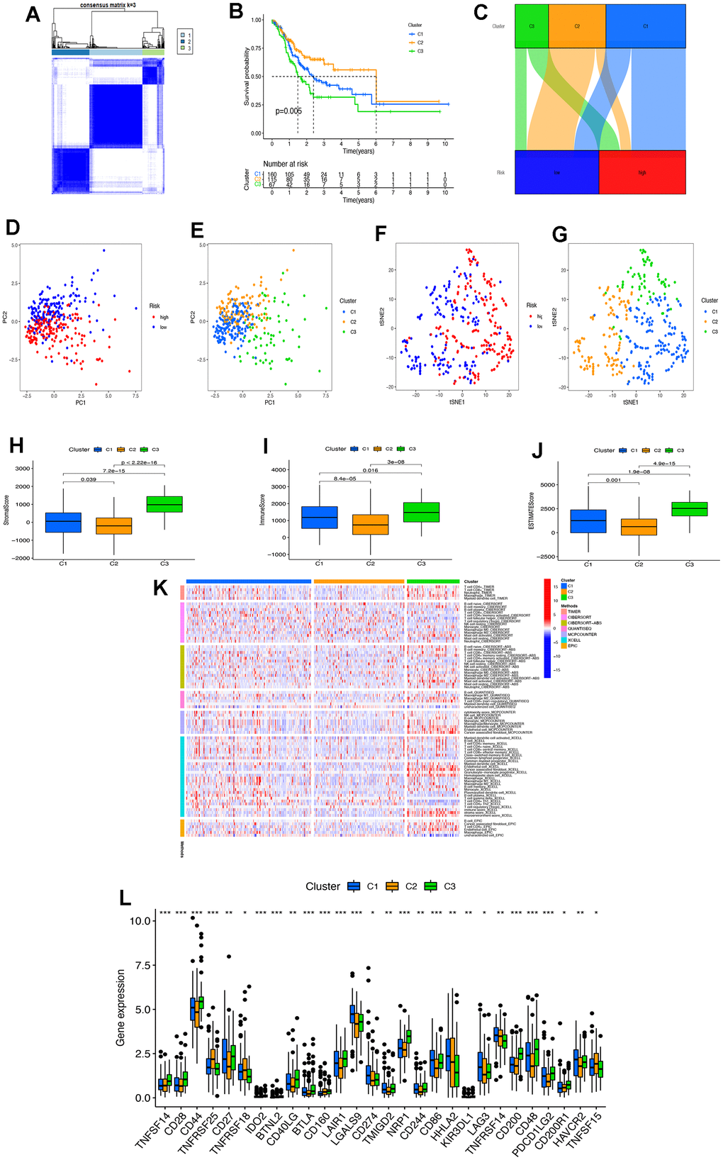 The role of tumor clusters of necroptosis-related lncRNAs in immunotherapy. (A) The necroptosis-related lncRNAs were divided into three subtypes according to the consensus clustering analysis. (B) The Kaplan–Meier analyzed the difference in the clusters. (C) The Sandel diagram of risk groups and the clusters. (D, E) The PCA of risk groups and clusters. (F, G) The t-SNE analysis of risk groups and clusters. (H–J) The comparison of immune-related scores in risk groups. (K) The heat map of immune cells with tumor clusters by different analytical methods. (L) The difference of 28 checkpoints expression in clusters. PC, principal component; tSNE, T-distributed stochastic neighbor embedding. * P 