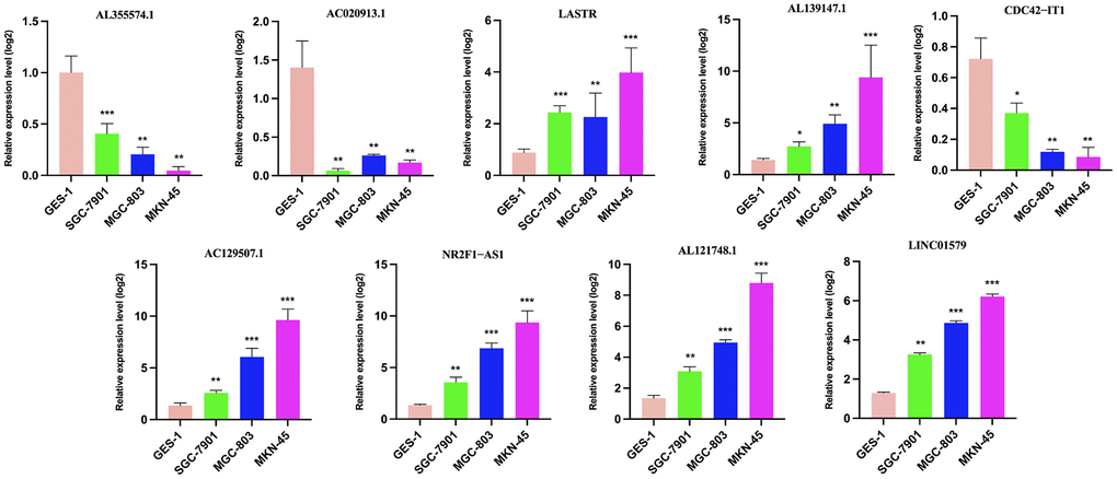 The results of risk score gene expression identification. qRT-PCR to evaluate the expression of necroptosis-related lncRNAs in GC cell lines and GES-1. GC, gastric cancer; qRT-PCR, quantitative real-time polymerase chain reaction. * P 