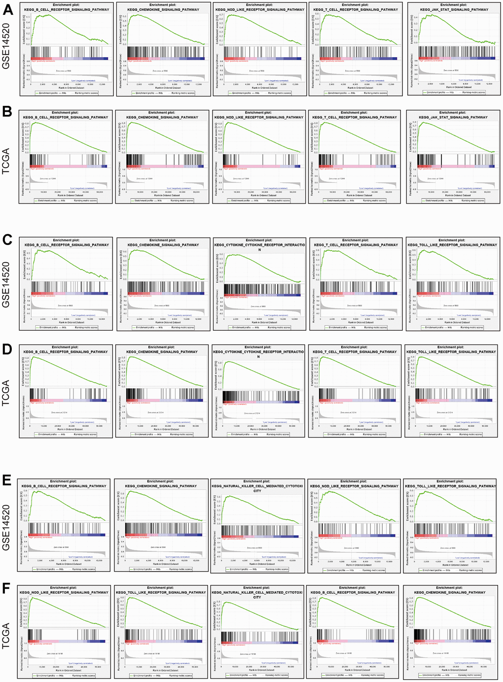 GSEA in terms of CCR1, CCR5 and CCR7 based on C2 curated gene sets. (A) Representative result of GSEA results of CCR1 in GSE14520; (B) representative result of GSEA results of CCR1 in TCGA; (C) representative result of GSEA results of CCR5 in GSE14520; (D) representative result of GSEA results of CCR5 in TCGA; (E) representative result of GSEA results of CCR7 in GSE14520; (F) representative result of GSEA results of CCR7 in TCGA.